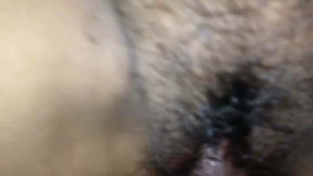 Սա առաջին Ազատ Կենդանիներ պոռնո համերգն է որպես ստրուկ մոդել, եւ այն բառացիորեն պայթել է: