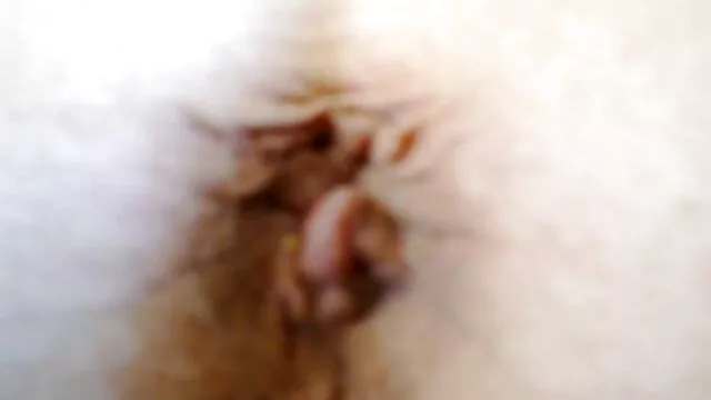 Սեռական սիրելի պոռնո ֆիլմեր ուսուցիչ,