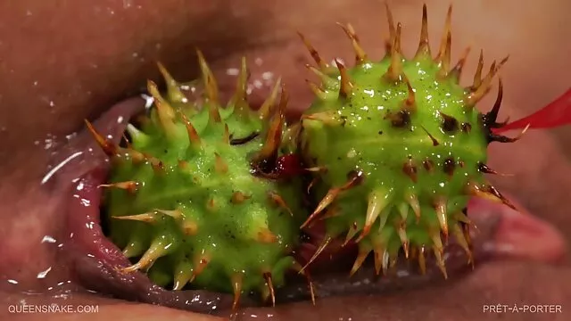 Sierra ծերունին սեքս տեսանյութեր Կրկես Կրկես Կրկես Slavegirl,