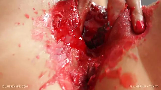 Դեվոնշիր Փրոդաքշն, ստրուկ աղջիկ սեքս տեսանյութեր 4 վիդեո